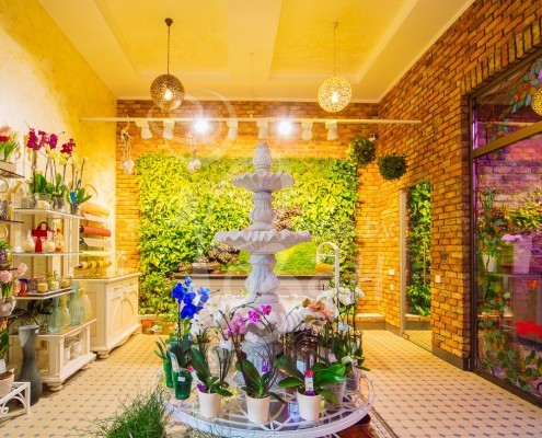 Вертикальное озеленение в интерьере цветочного салона Розмарин