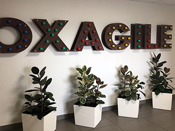 Озеленение офиса OXAGILE